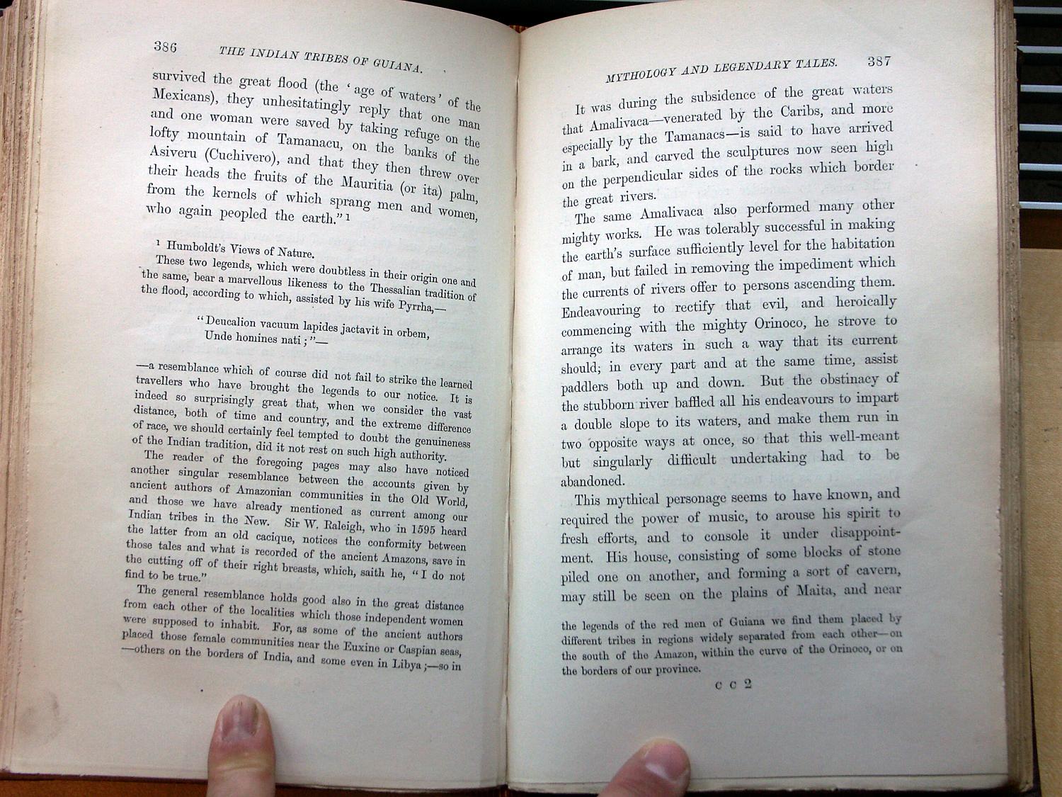 zz-bret68,s.386 amalivaca